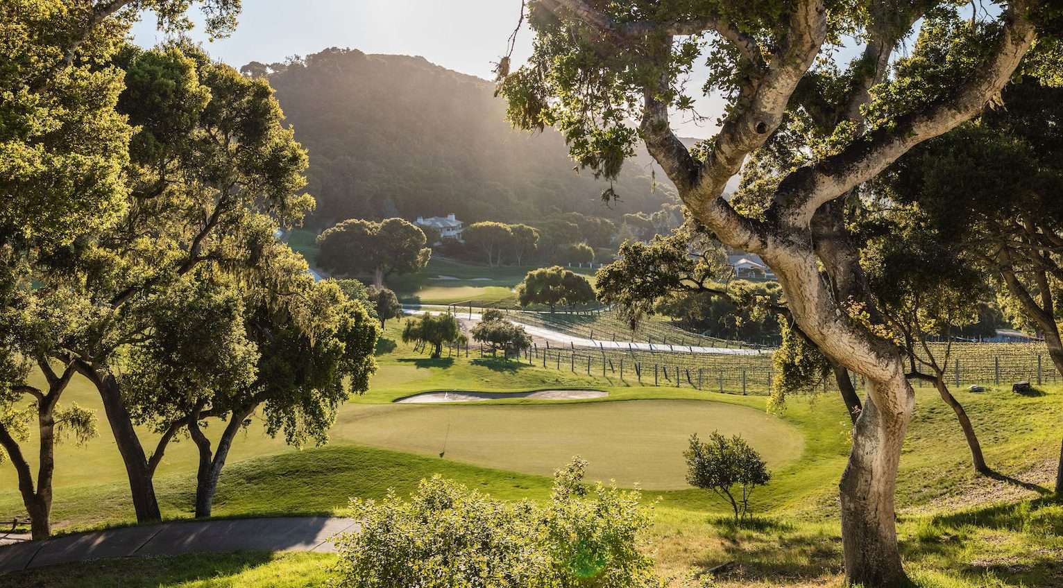 green golf course with leaf trees around and vineyards at the back of the golf course at Carmel Valley Ranch resort