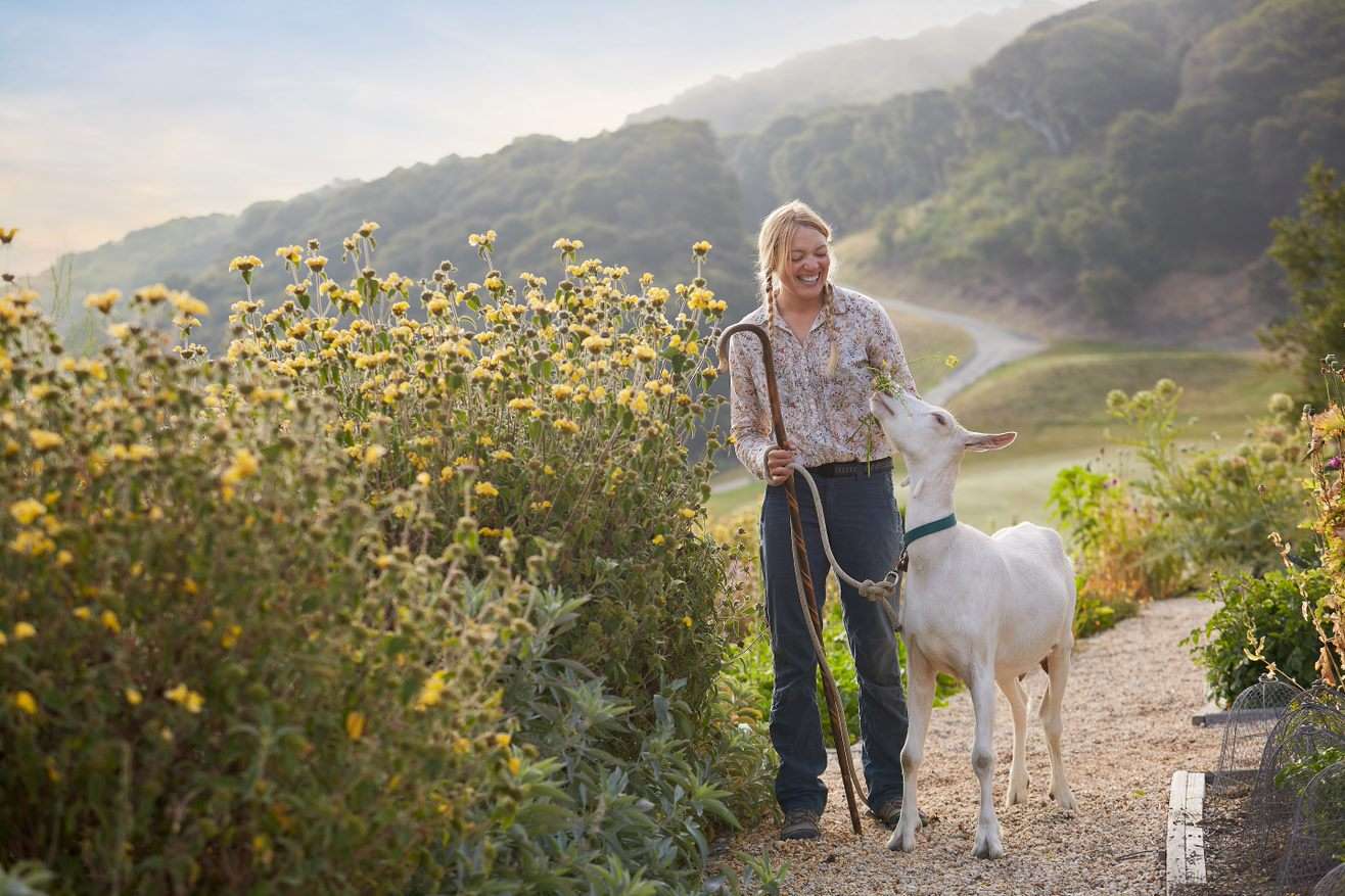 Sophia tending to the ranch goats