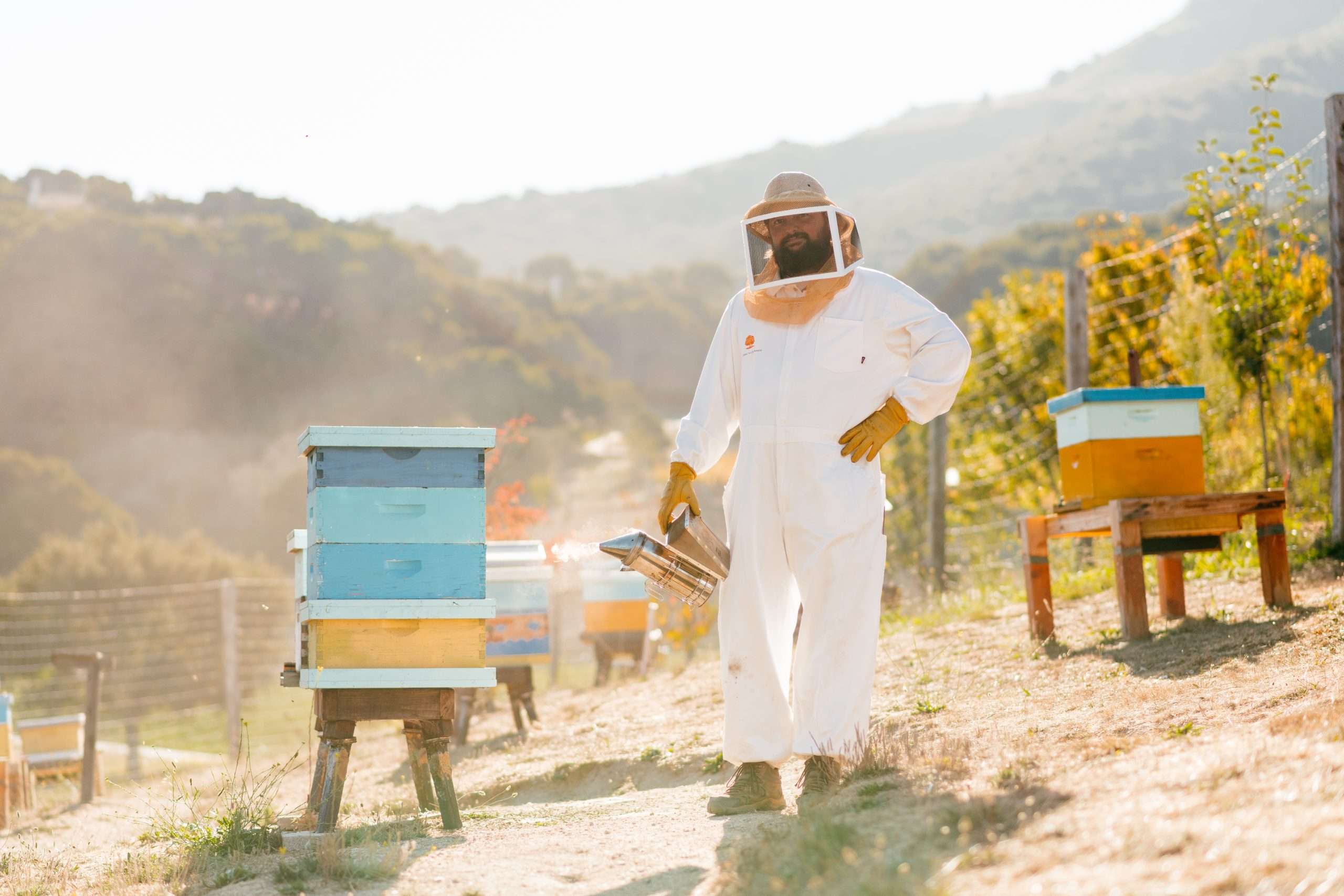 Bees